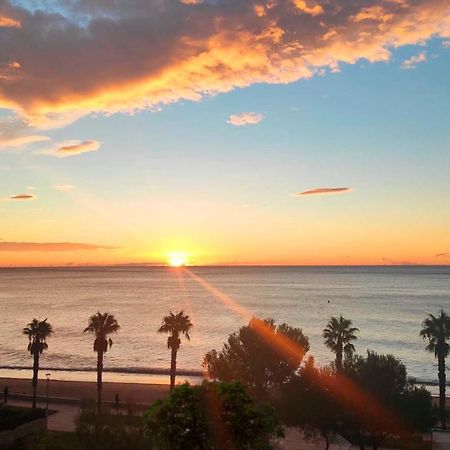 Sunrise Estudio Zebra, Con Vistas Jardin Y Mar Miami Playa Luaran gambar